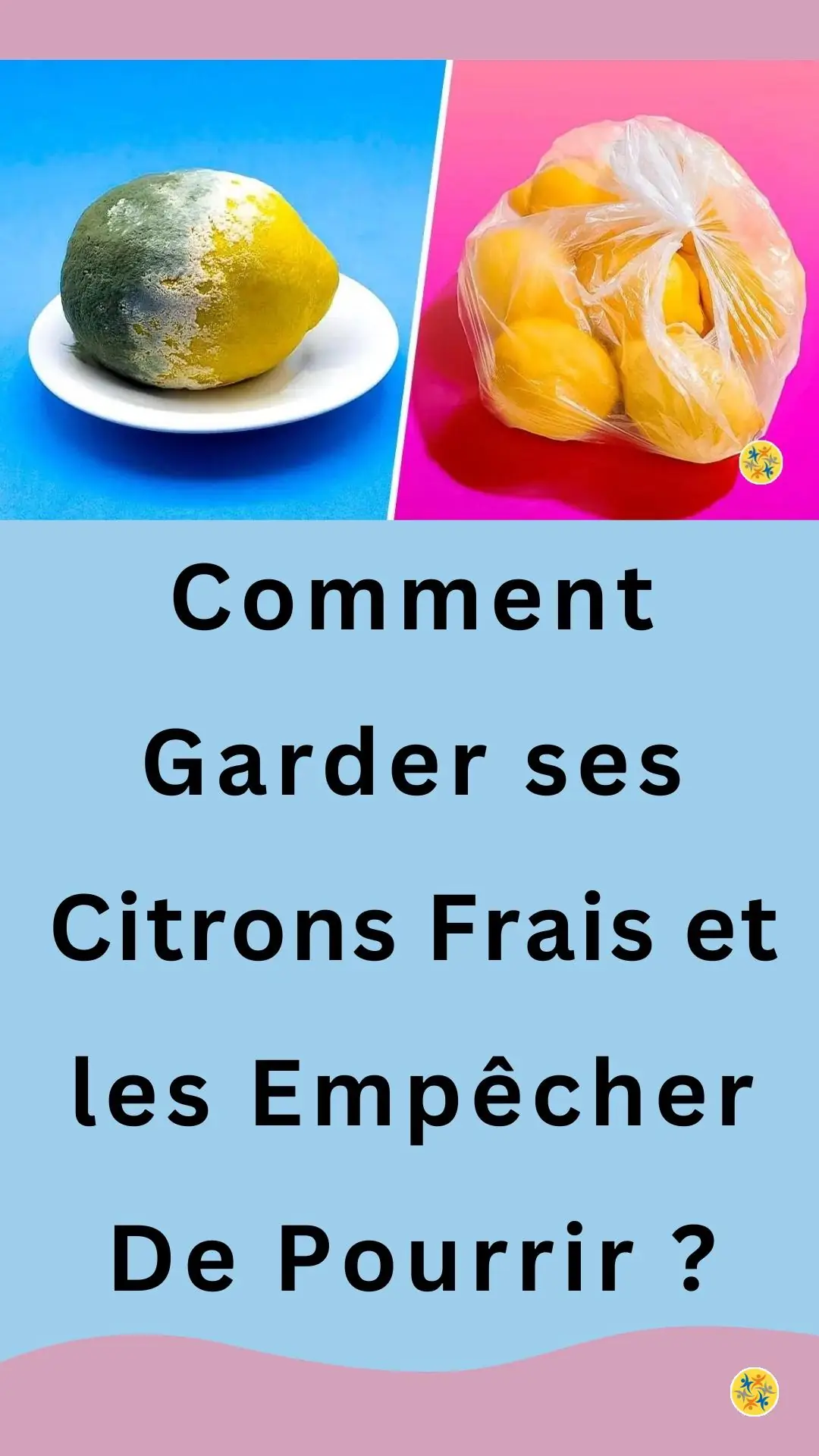 Astuce fiable pour des agrumes durables 