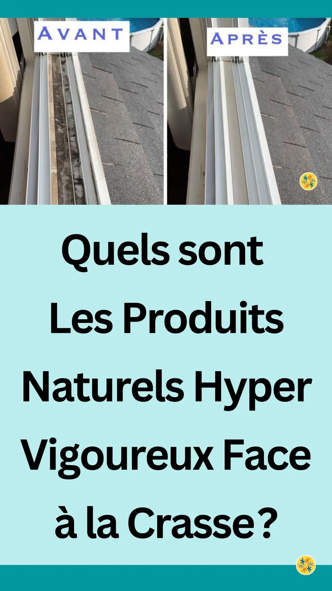 Nettoyage simple et naturel des fenêtres 