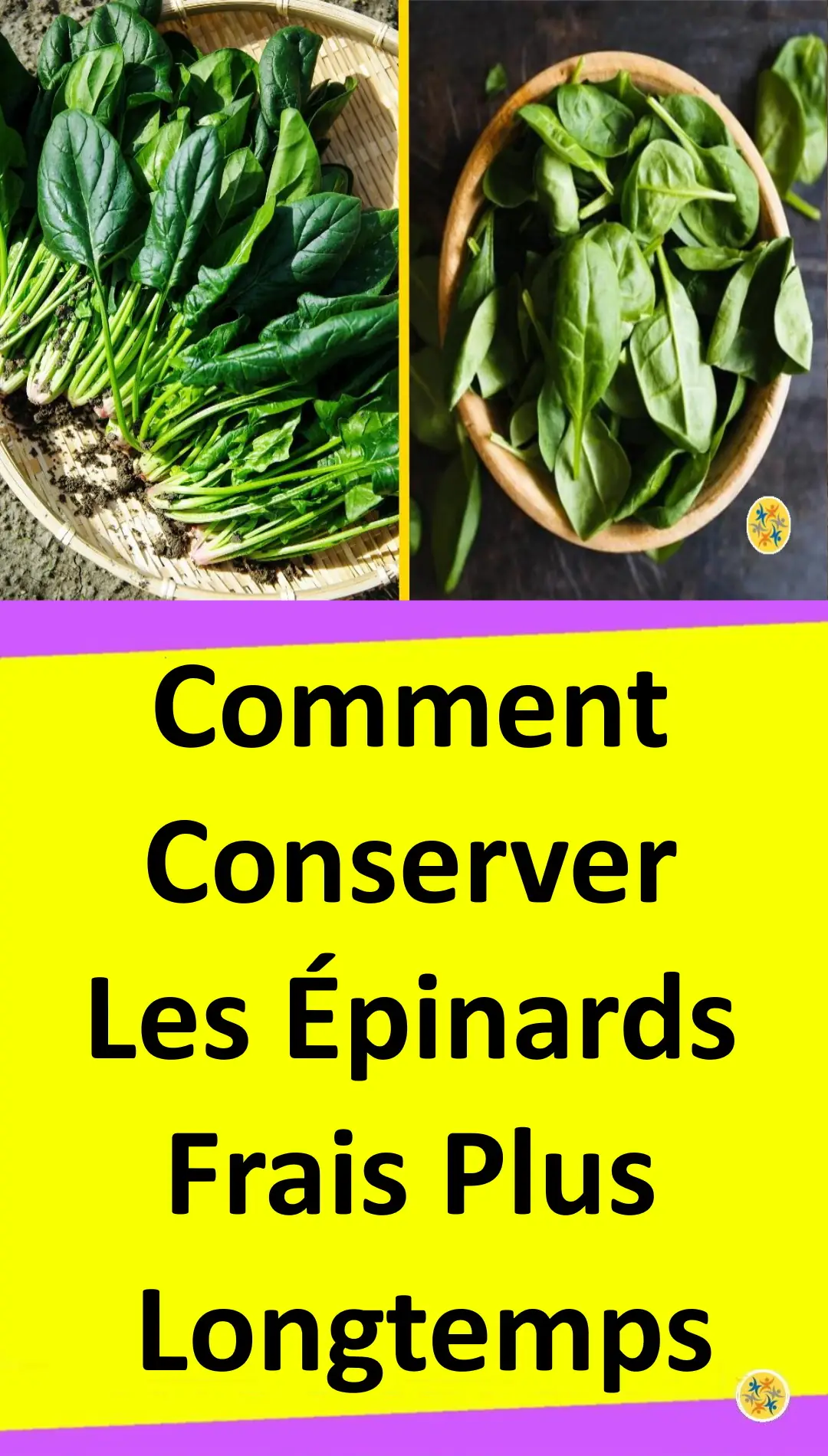 Astuce pour garder les épinards frais plus longtemps 
