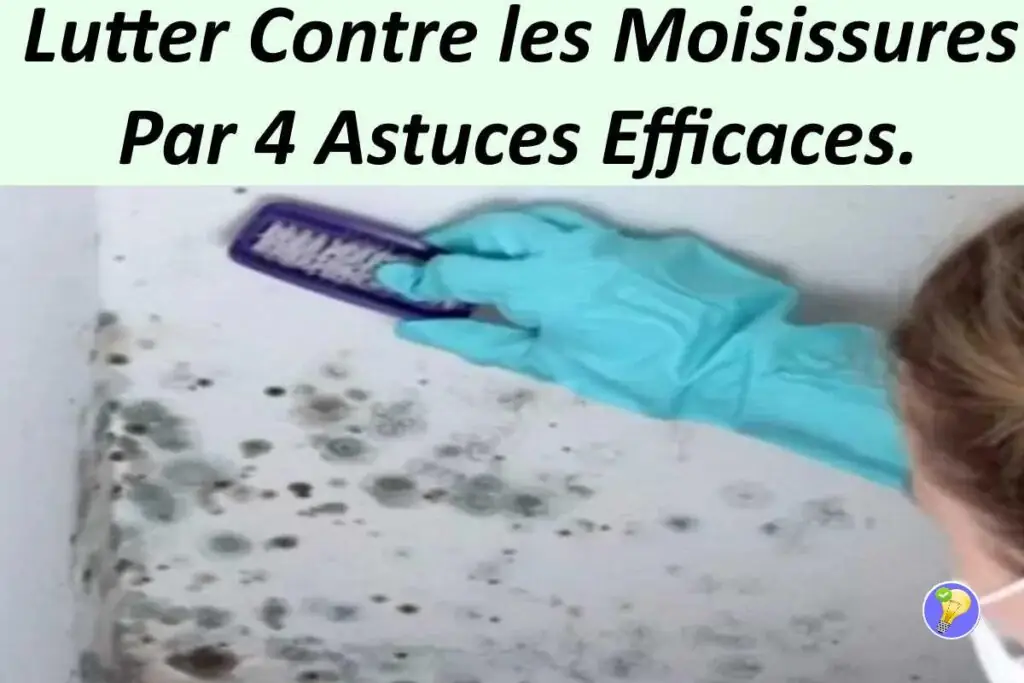 Des astuces pour débarrasser définitivement des moisissures 