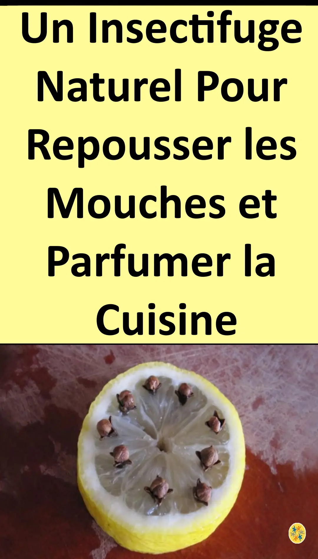 Astuce pour repousser les moucher et parfumer la cuisine 