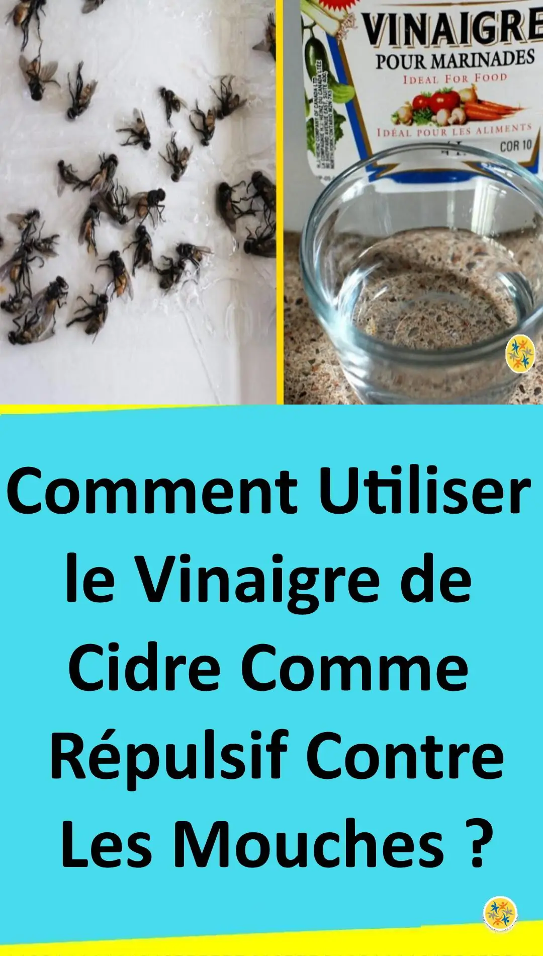 Utiliser le vinaigre de cidre contre les mouches 