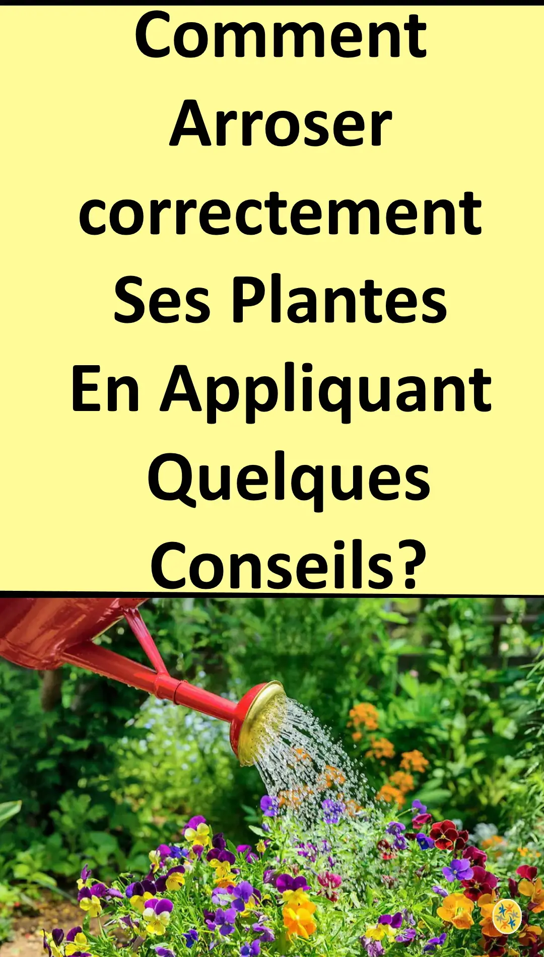 Arrosage astucieux, conditionné et bien réalisé 