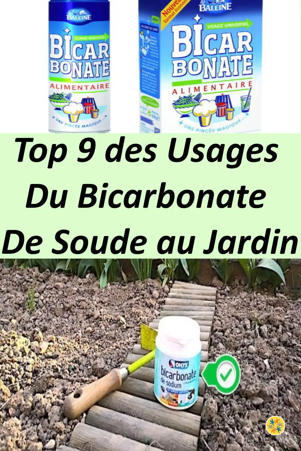 9 Utilisations de Bicarbonate de Soude dans le Jardin 