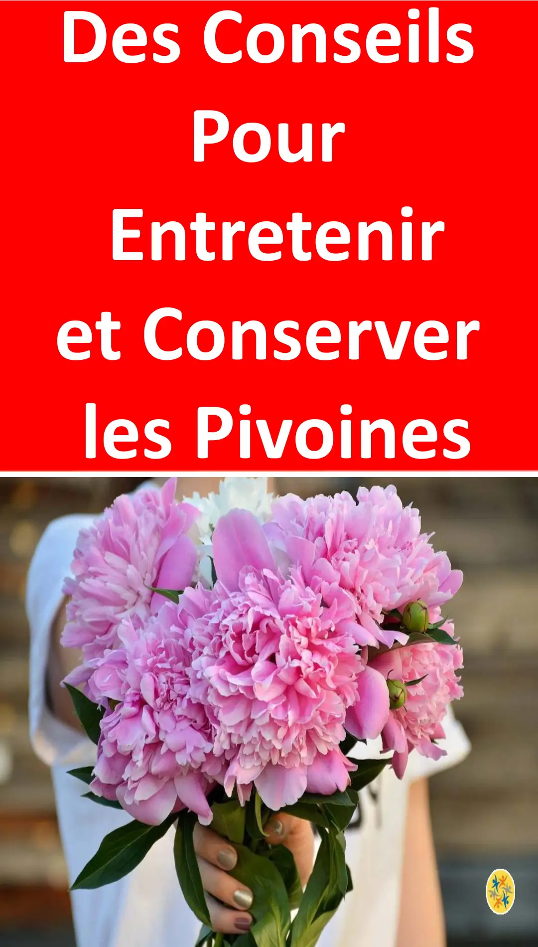 Astuces pour entretenir les pivoines 