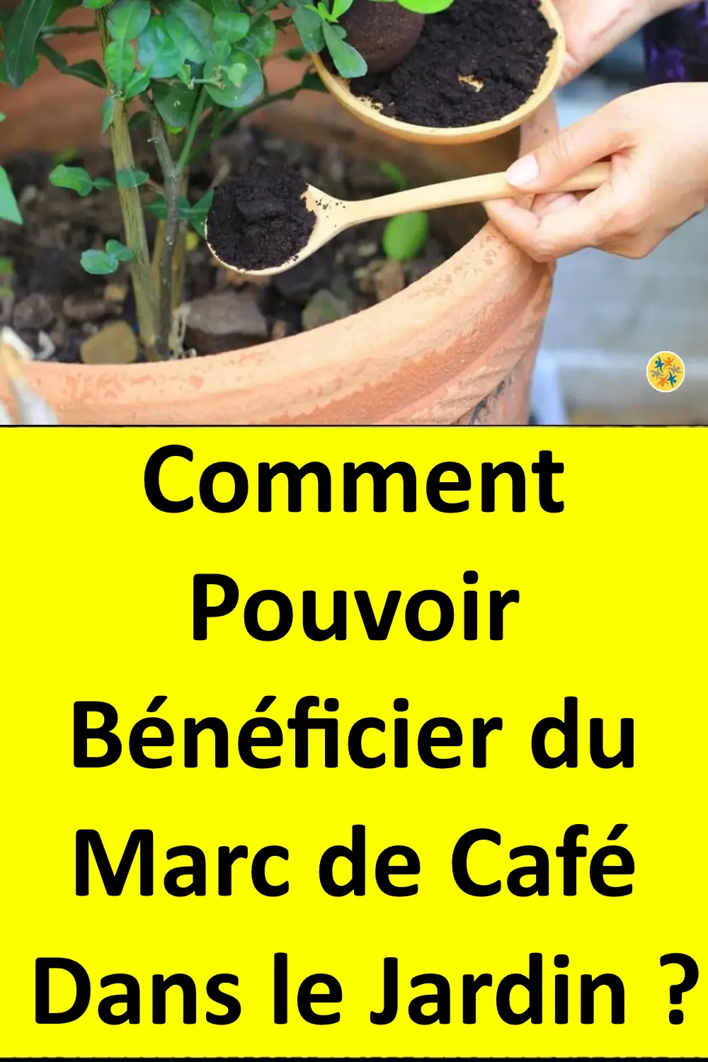 Utilisations de marc de café au jardin 