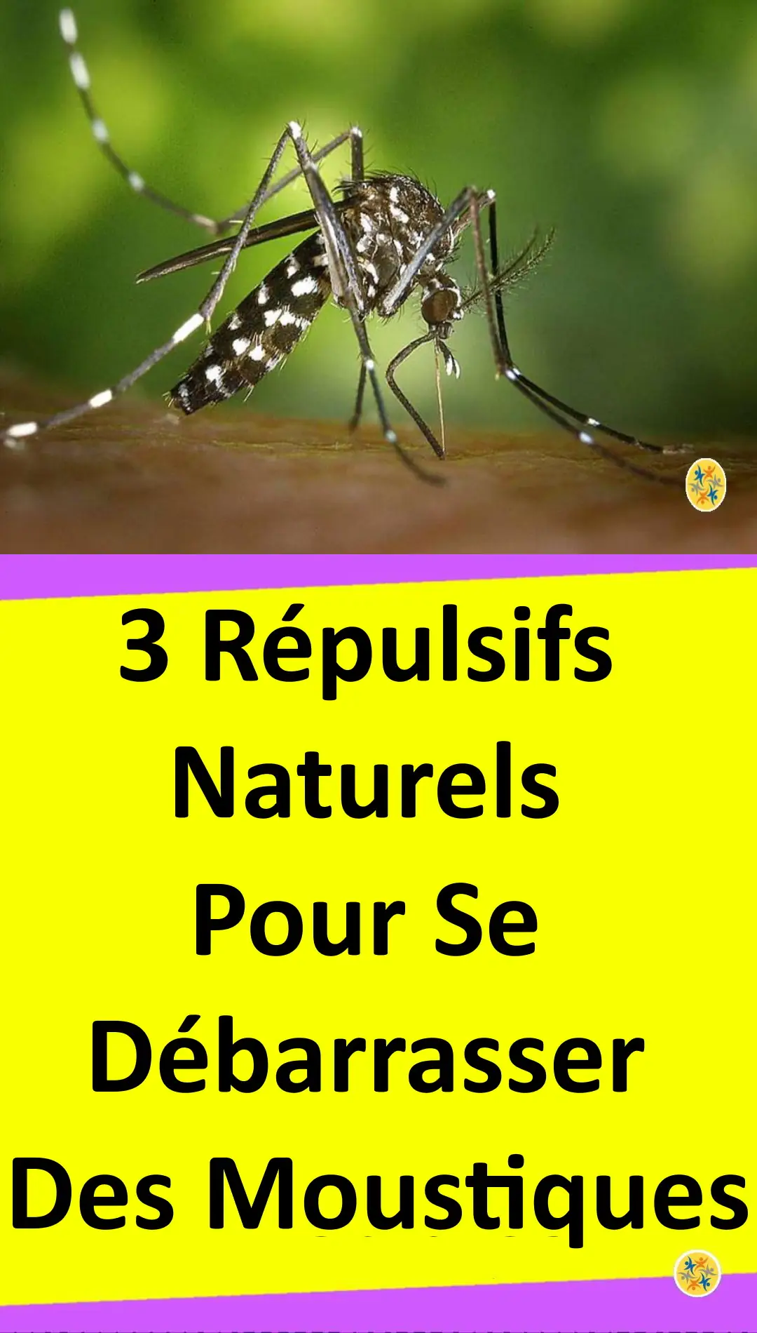 Des répulsifs naturels de moustiques 