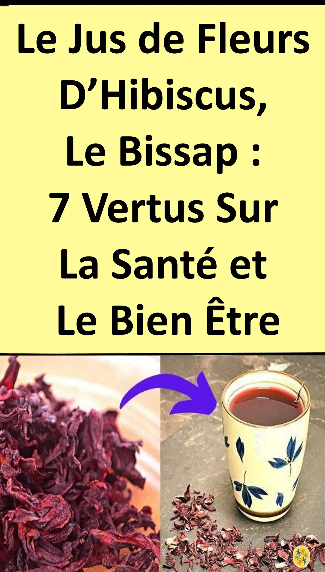Bienfaits de Bissap sur la santé 