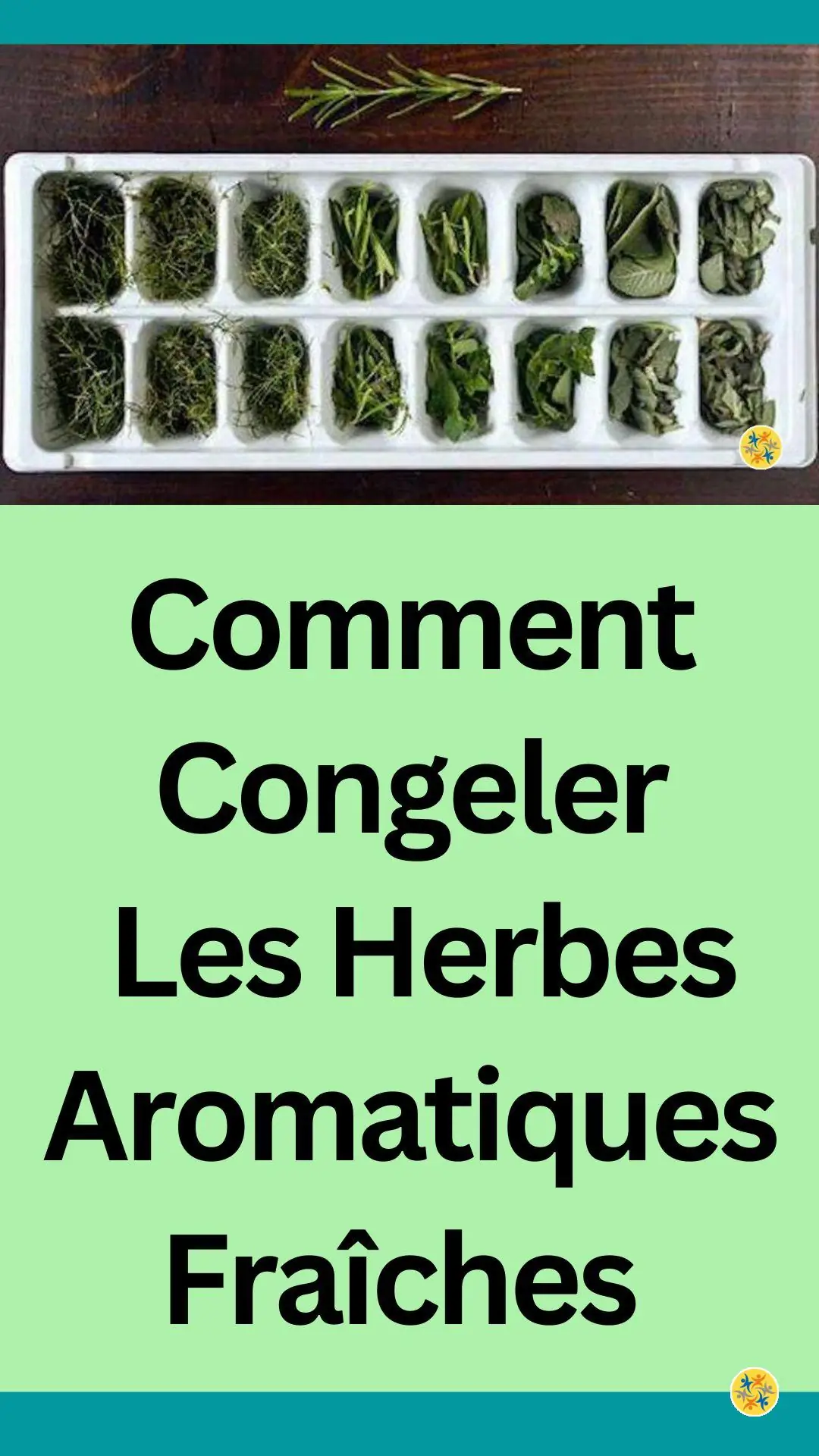 Mode de conservation des plantes d'assaisonnement 