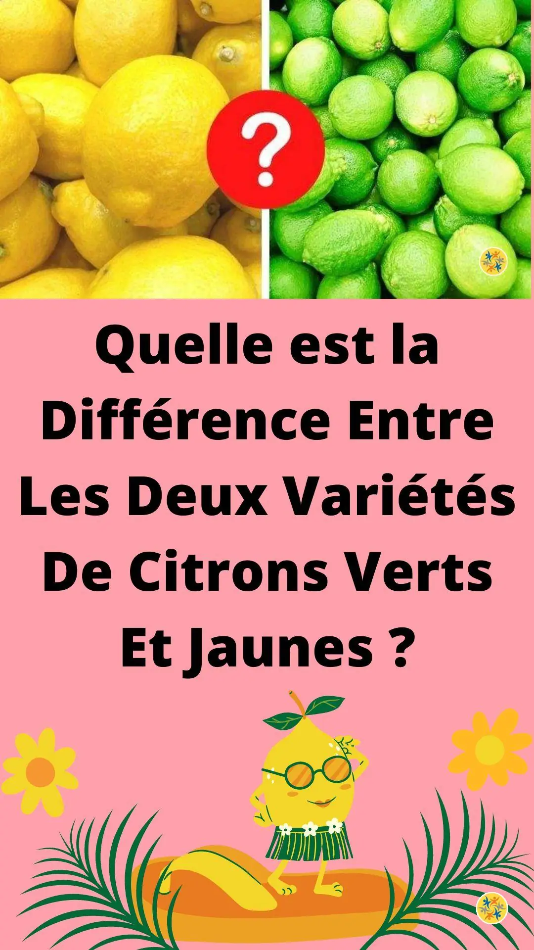 Distinction et caractéristiques des citrons 