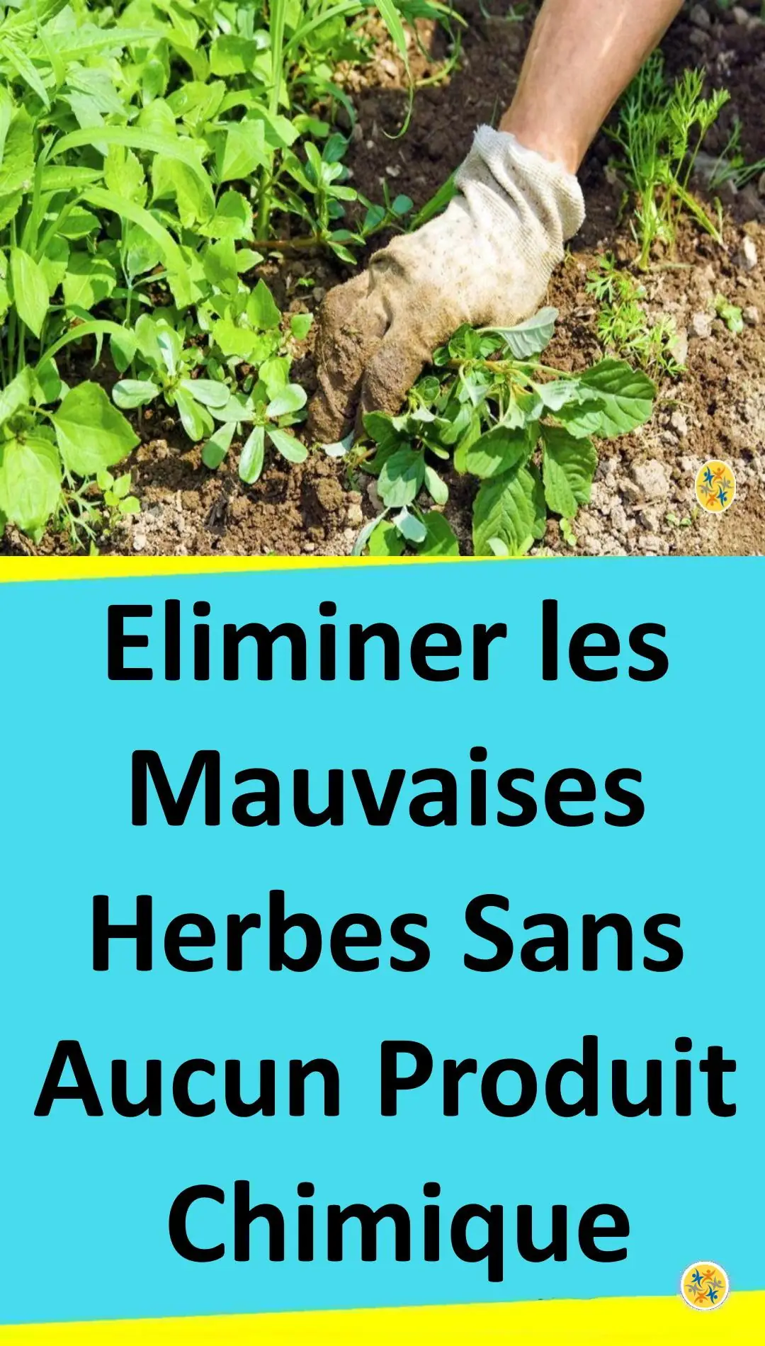 Astuce naturelle pour éliminer les mauvaises herbes 