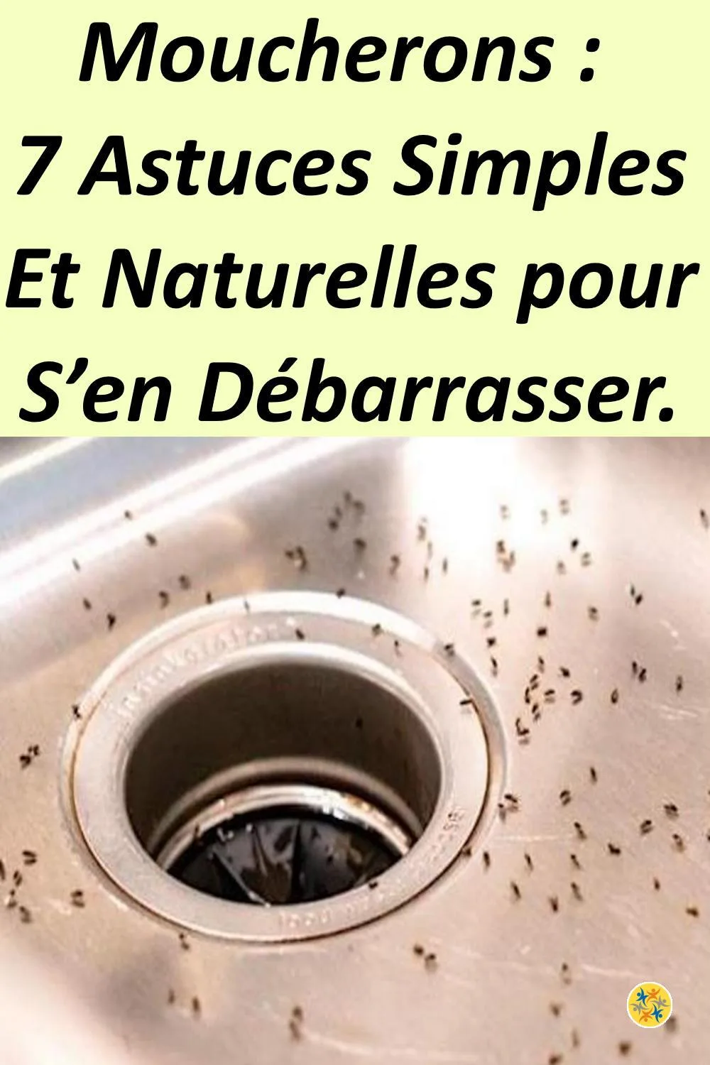 Débarrassez-vous des Moucherons de la Cuisine avec 7 Astuces