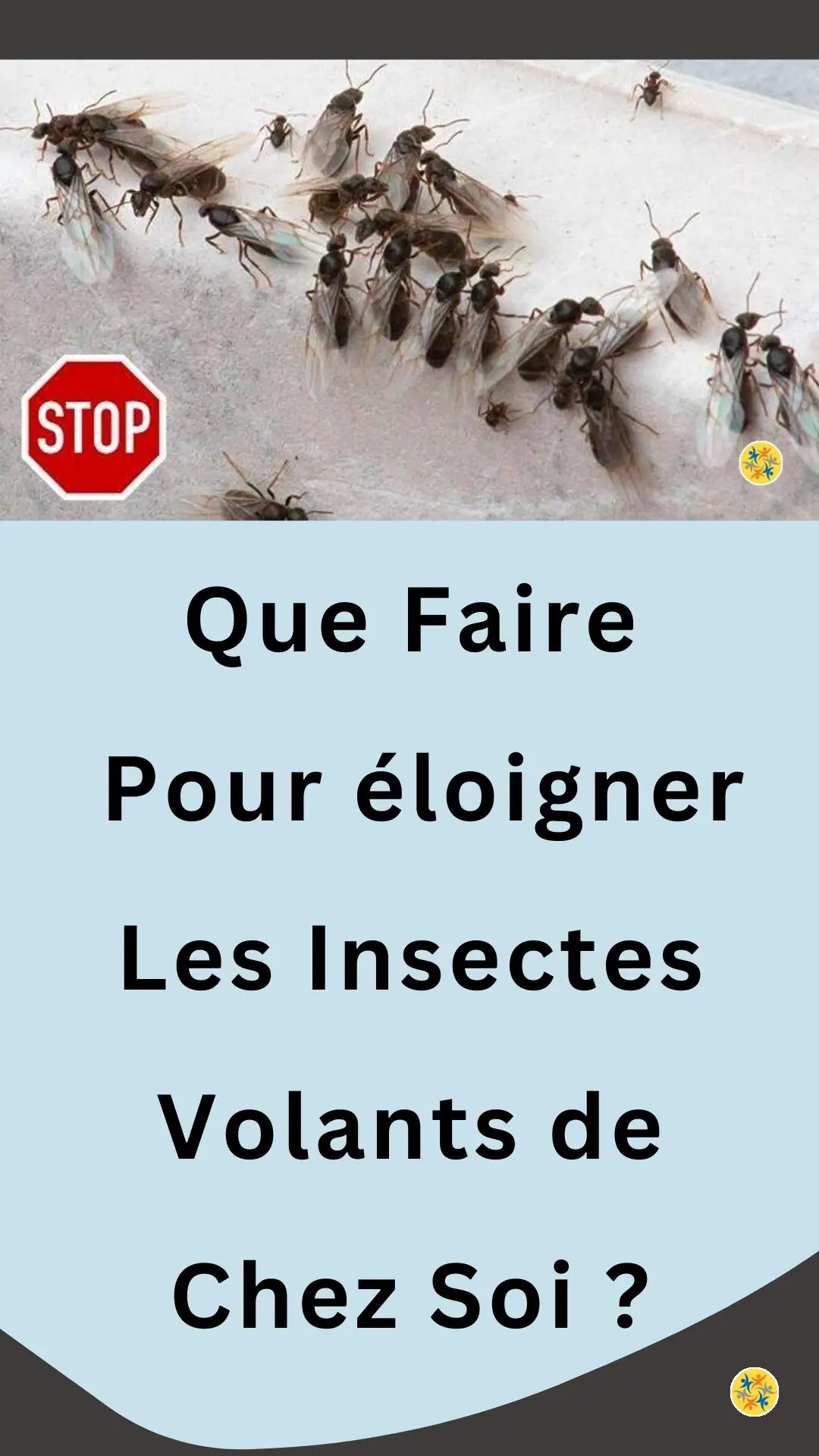 Conseils et solutions insecticides et naturels 