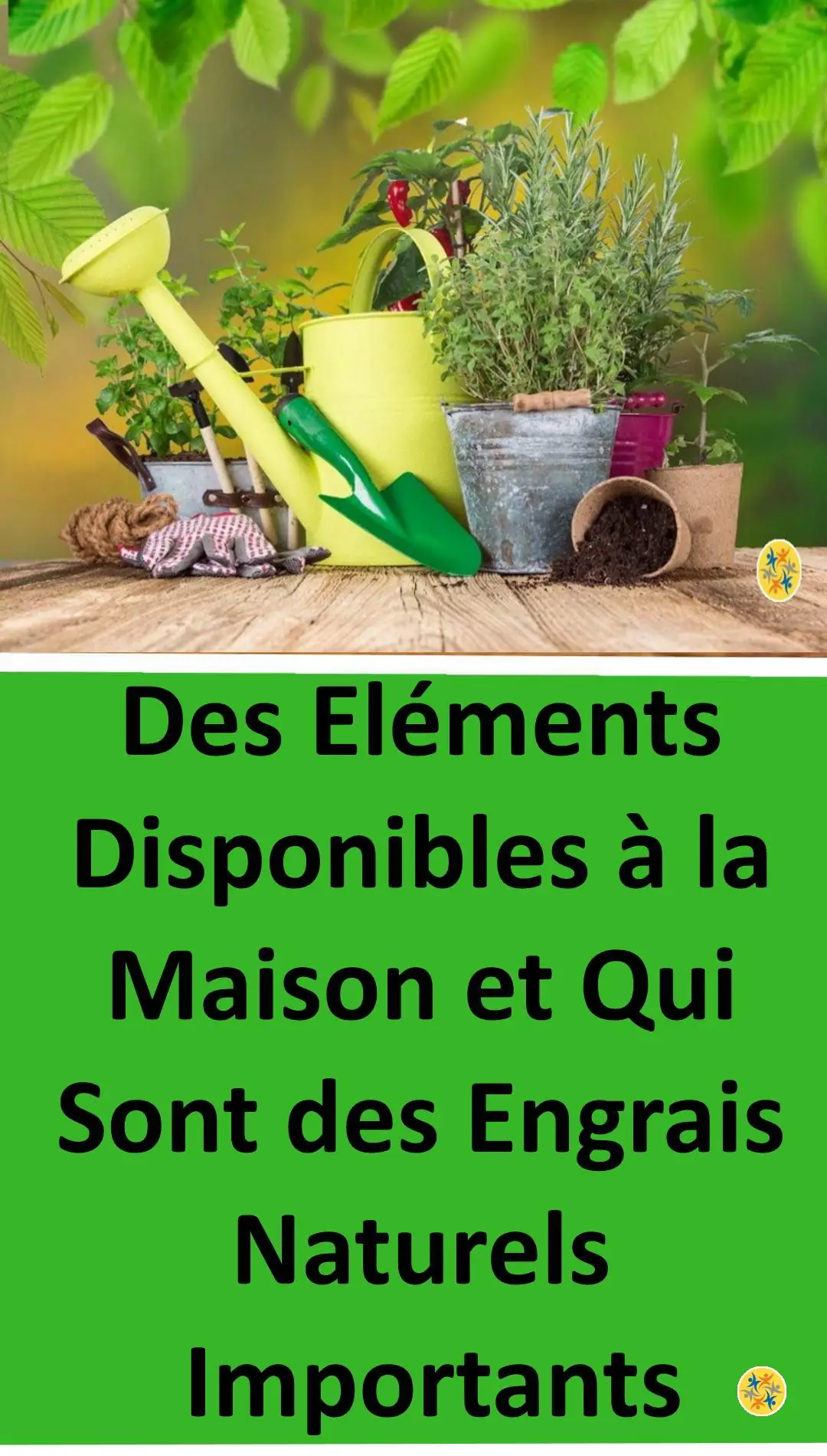 Des engrais naturels à la maison 