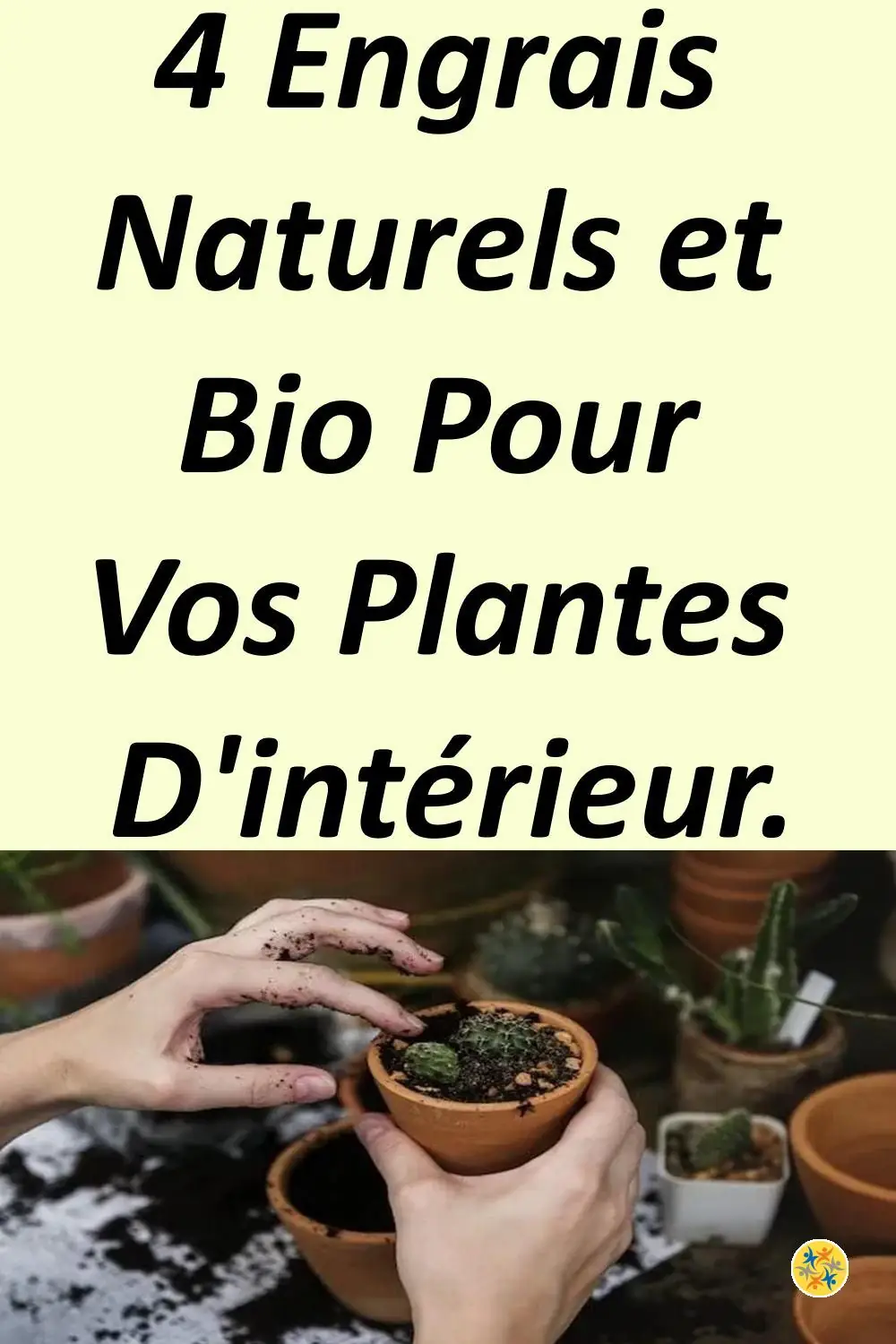 Engrais et aliments pour plantes 