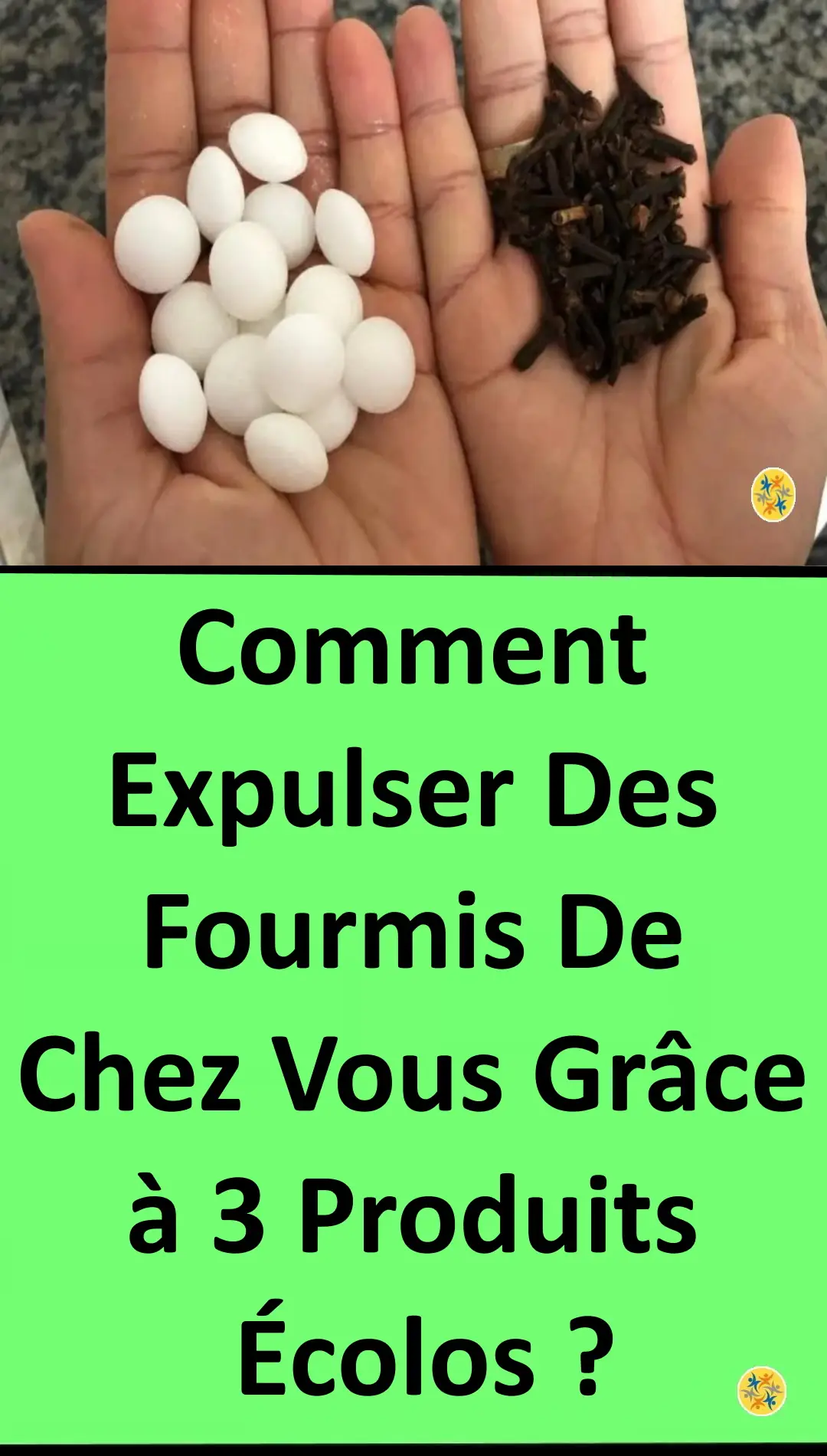 Solutions économiques contre les insectes 
