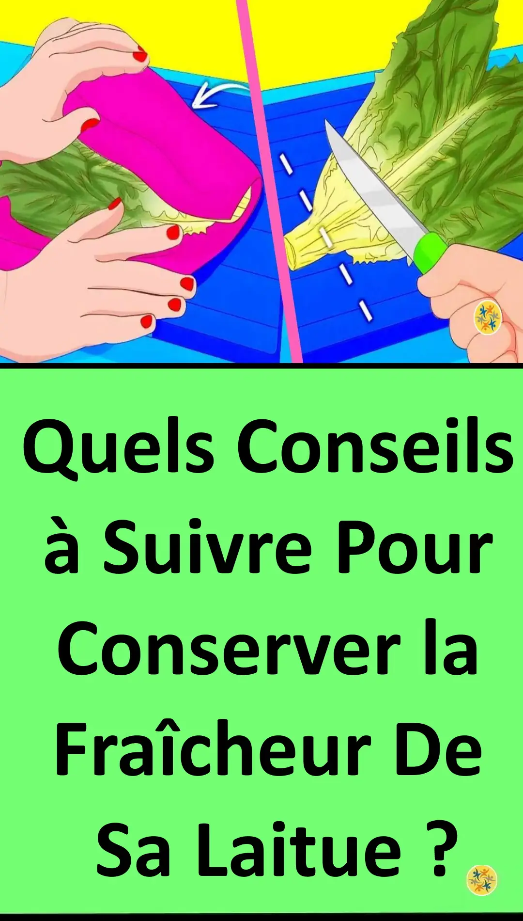 Conservation facile et durable de salade 