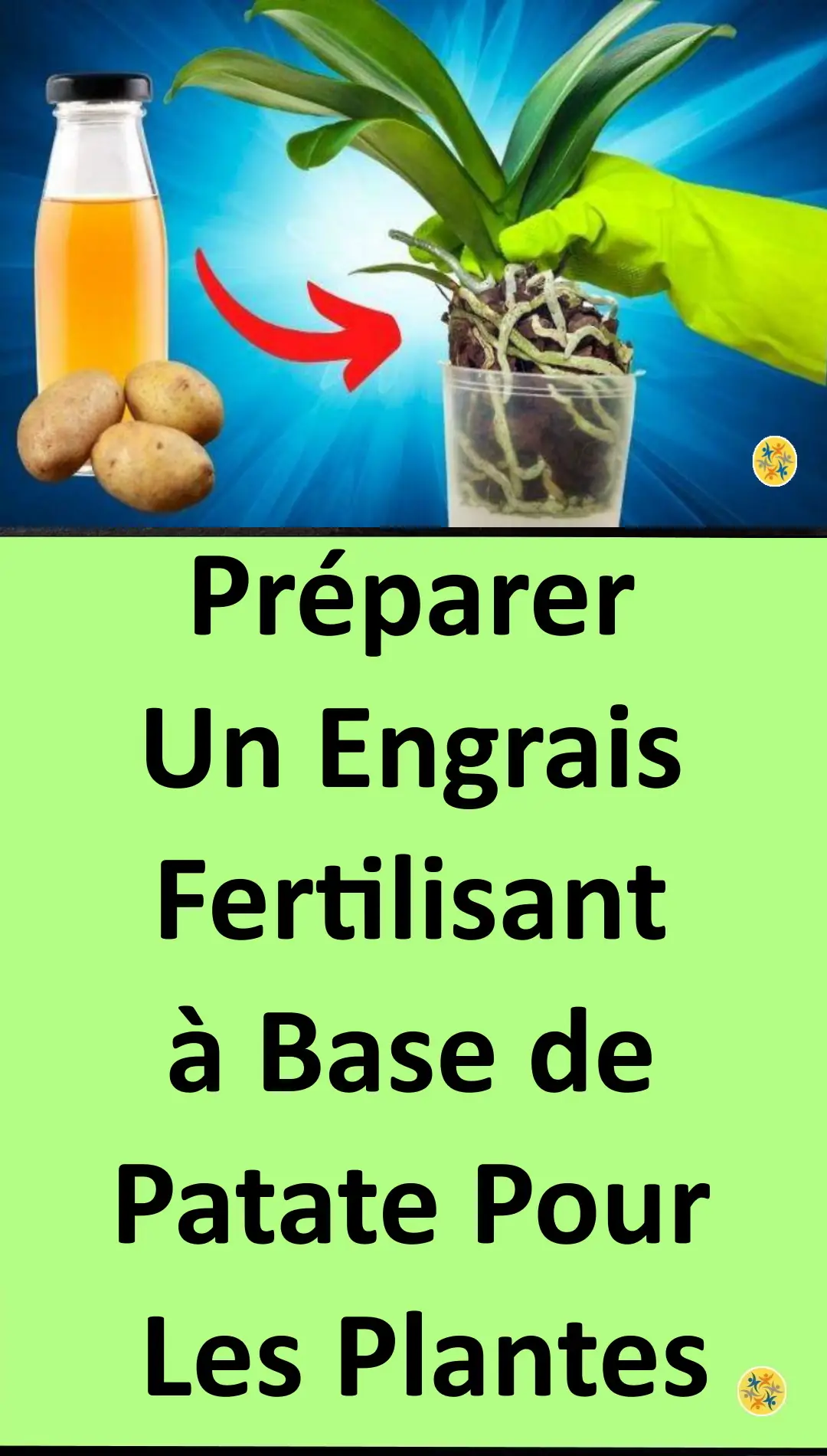 Arrosage bénéfique et nourrissant pour les fleurs 