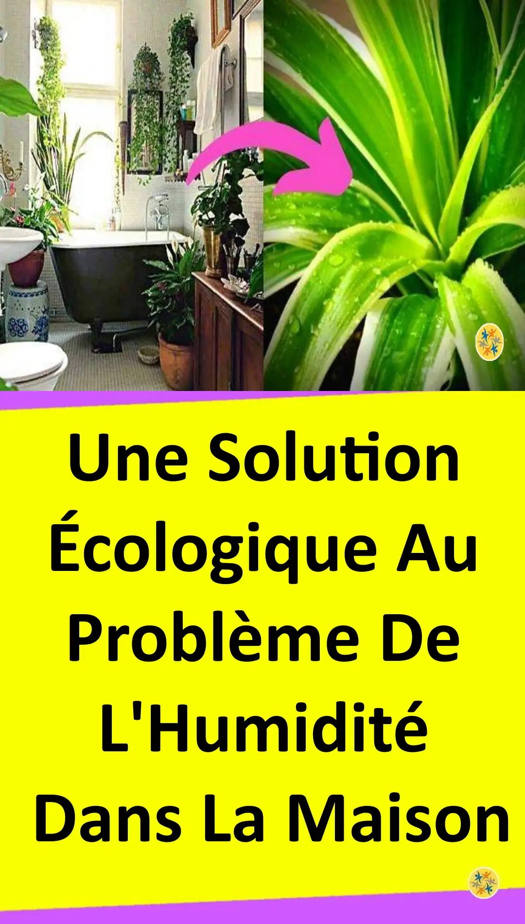 Astuce écologique pour lutter contre l'humidité 