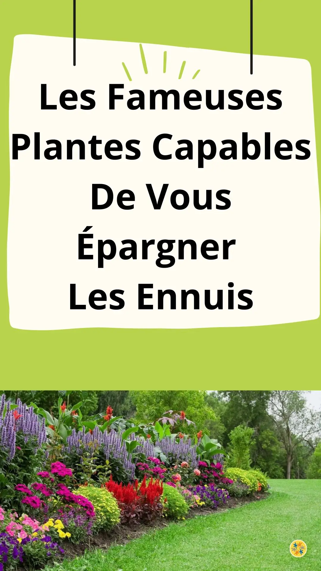 Idées de décoration et de protection du jardin 