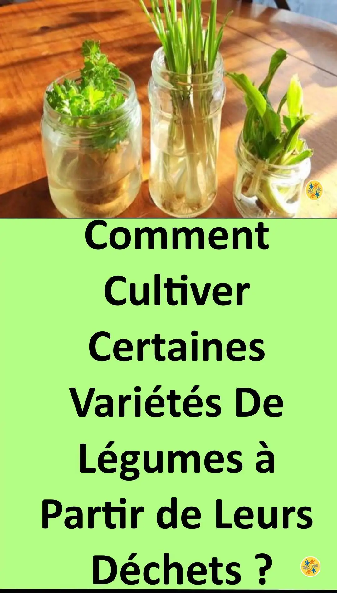Astuce ingénieuse pour faciliter la culture 