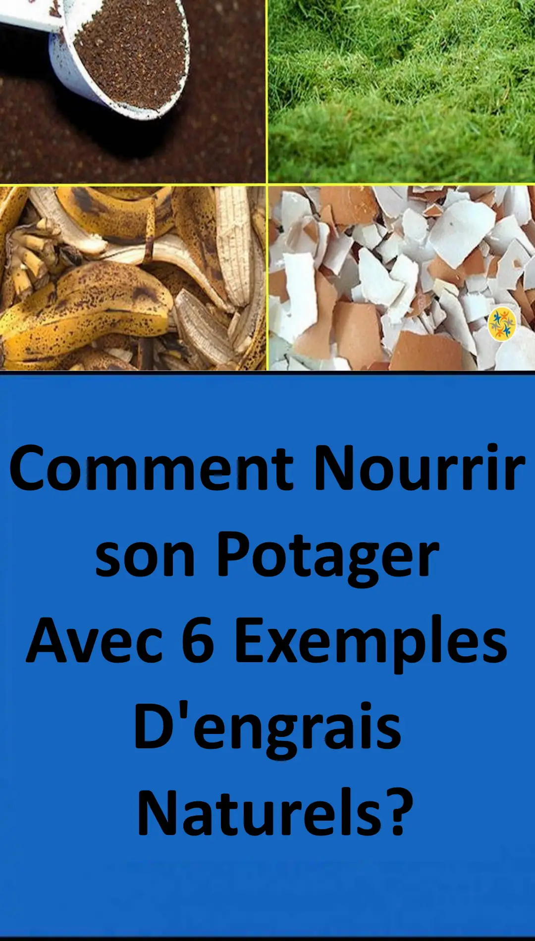Le compostage le plus écologique et économique 