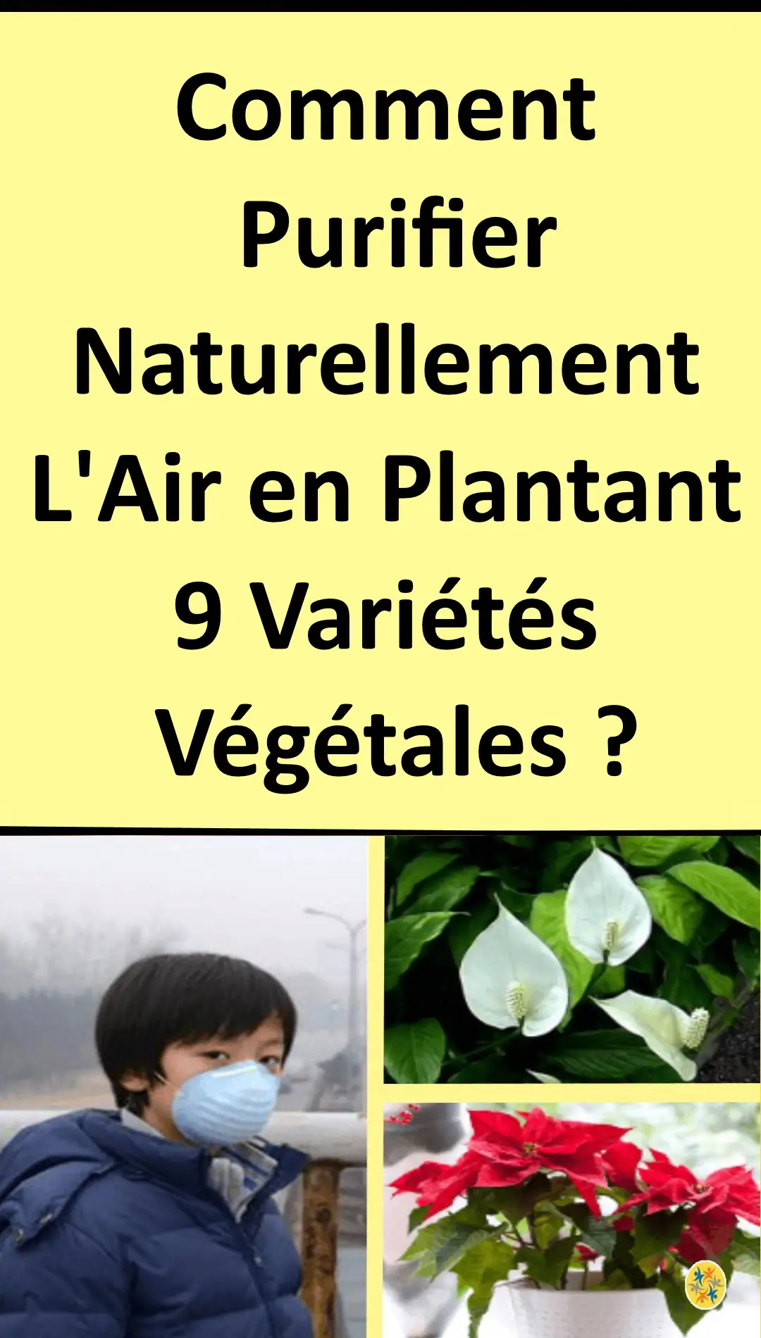 Astuces écologiques pour une atmosphère saine 