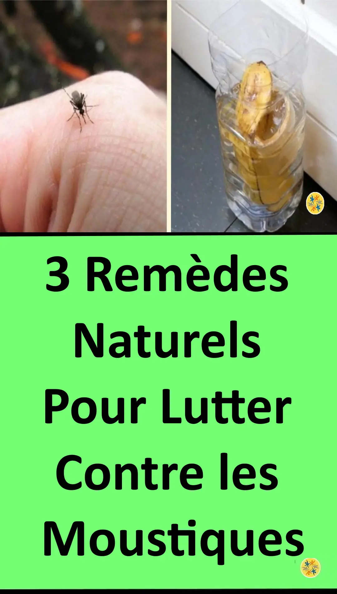 Remèdes naturels contre les moustiques 