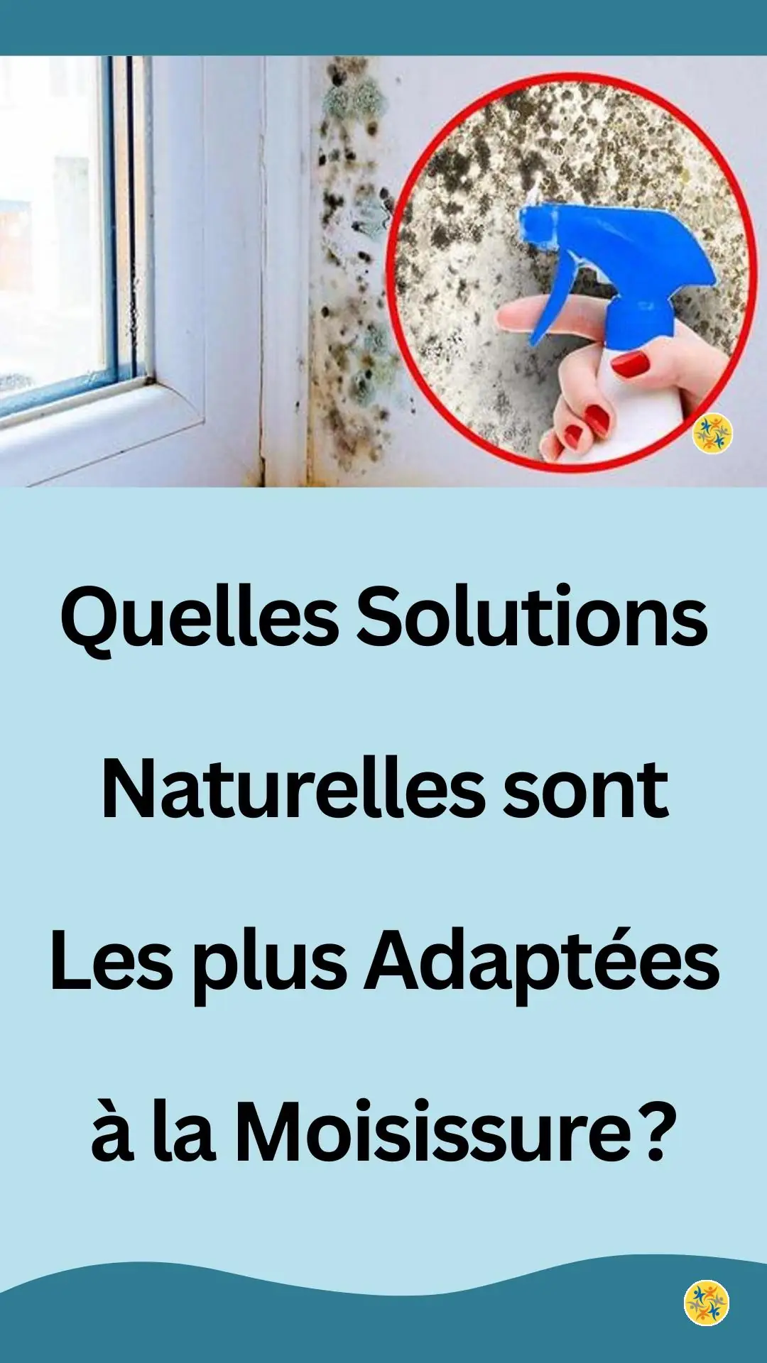 Astuces écologiques désinfectantes pour dé-moisir 