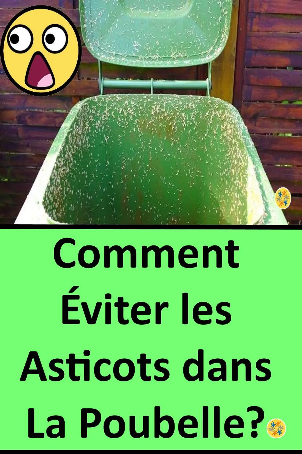 Comment Tuer Les Asticots Dans Les Poubelles Exterieur Comment Eliminer les Asticots dans la Poubelle et les Canalisations ?