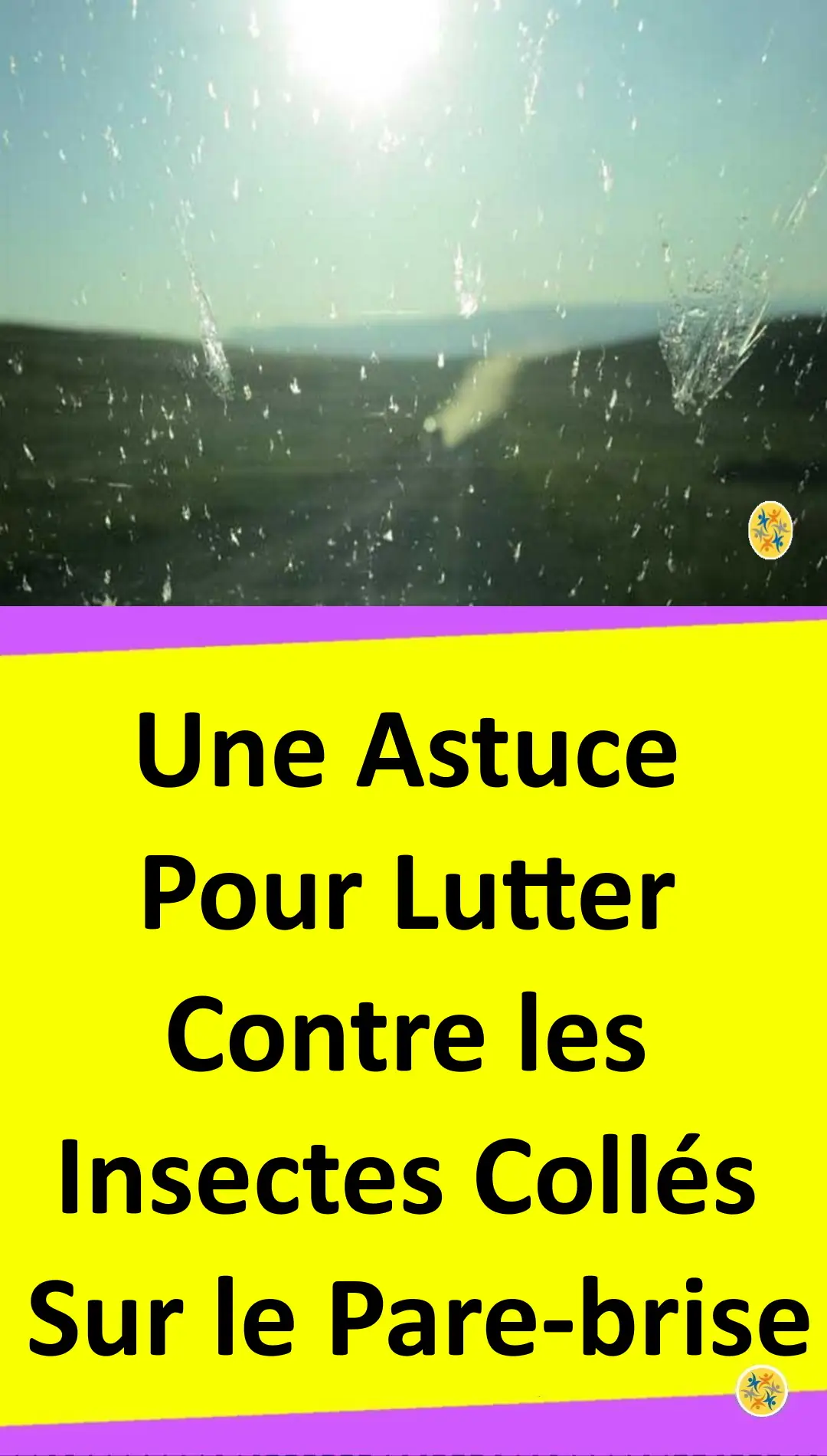 Astuce pour éliminer les insectes collés sur le pare-brise 