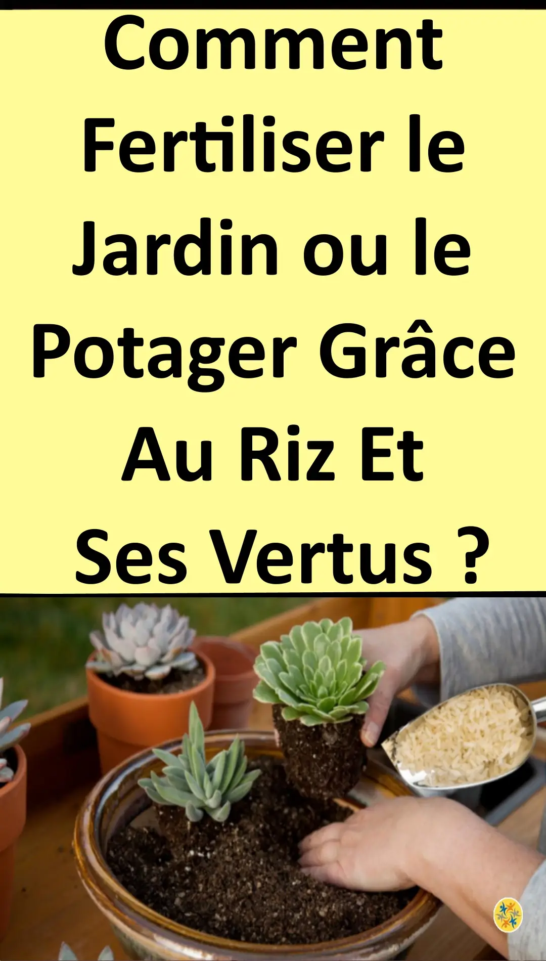 Utilisations diverses du riz pour les plantes 