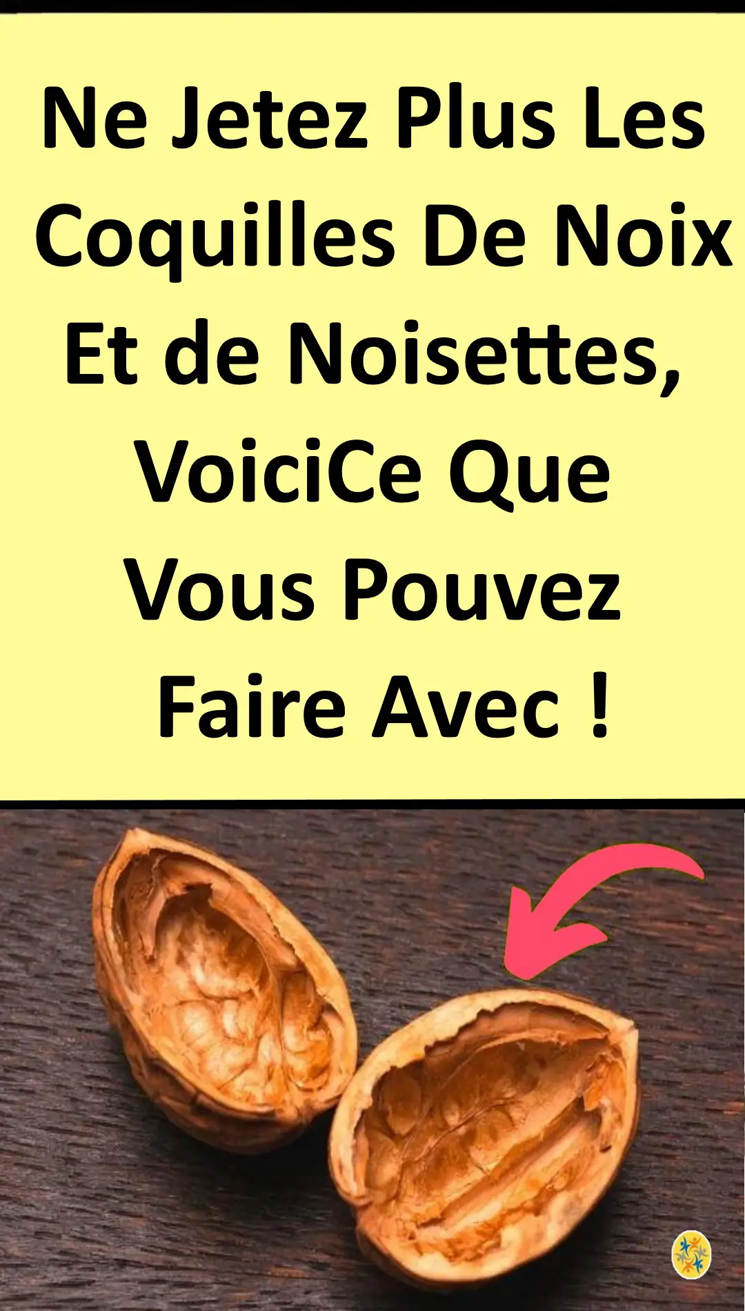 Utilisations des coquilles de noix et de noisettes 