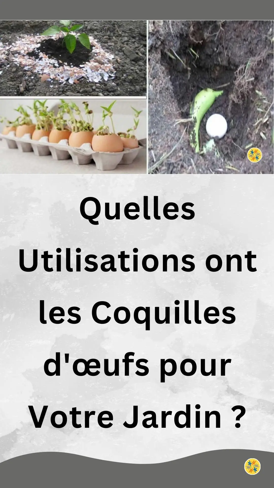 Recyclage astucieux des coquilles d'œufs 