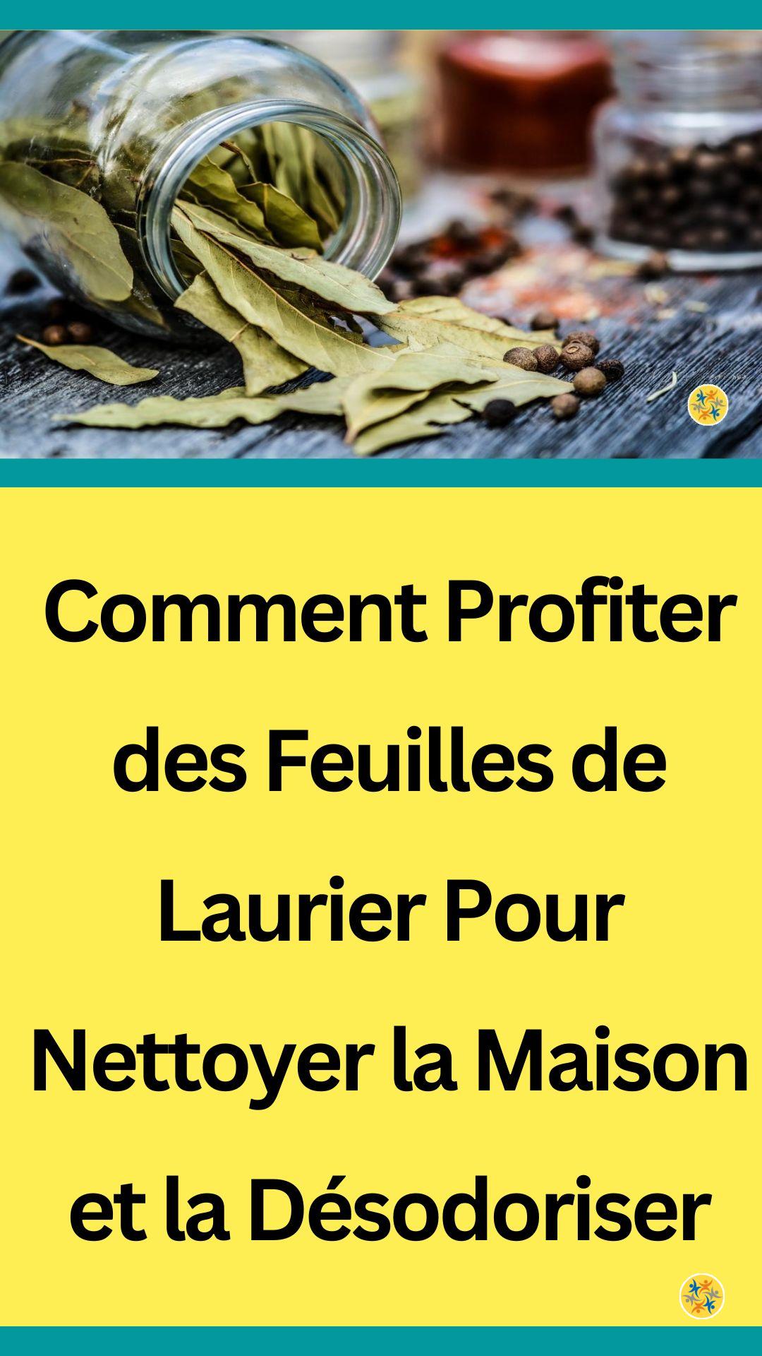 Utilisations des feuilles de laurier pour nettoyer la maison et la désodoriser