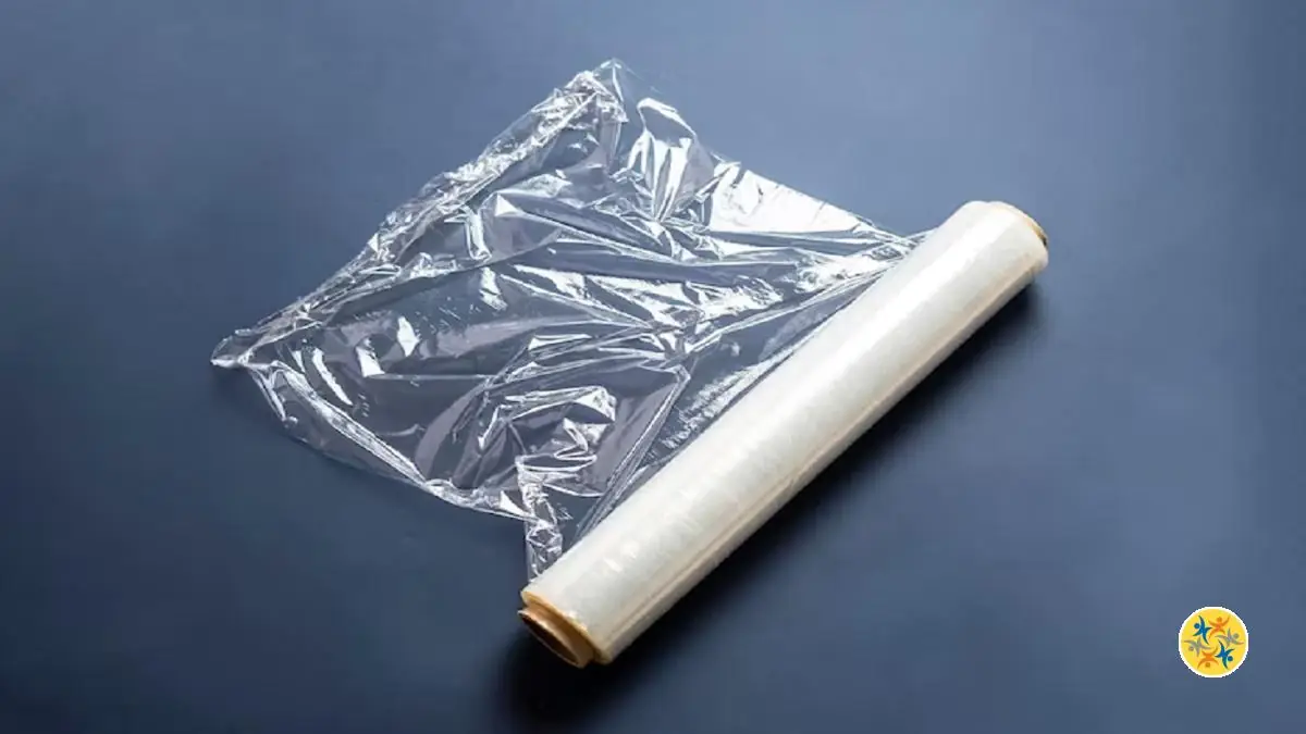 5 Alternatives Saines du Papier Cellophane à Découvrir et Adopter