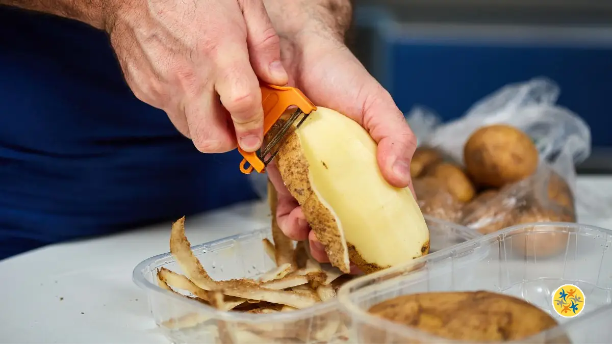 Comment Réduire le Gaspillage Alimentaire avec Vos Épluchures ?