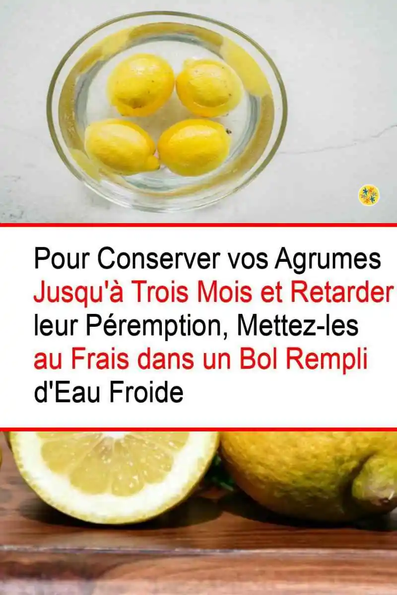 2 Pas pour des Citrons Toujours Frais et en Bon Etat 17 Conservation durable et au frais des citrons