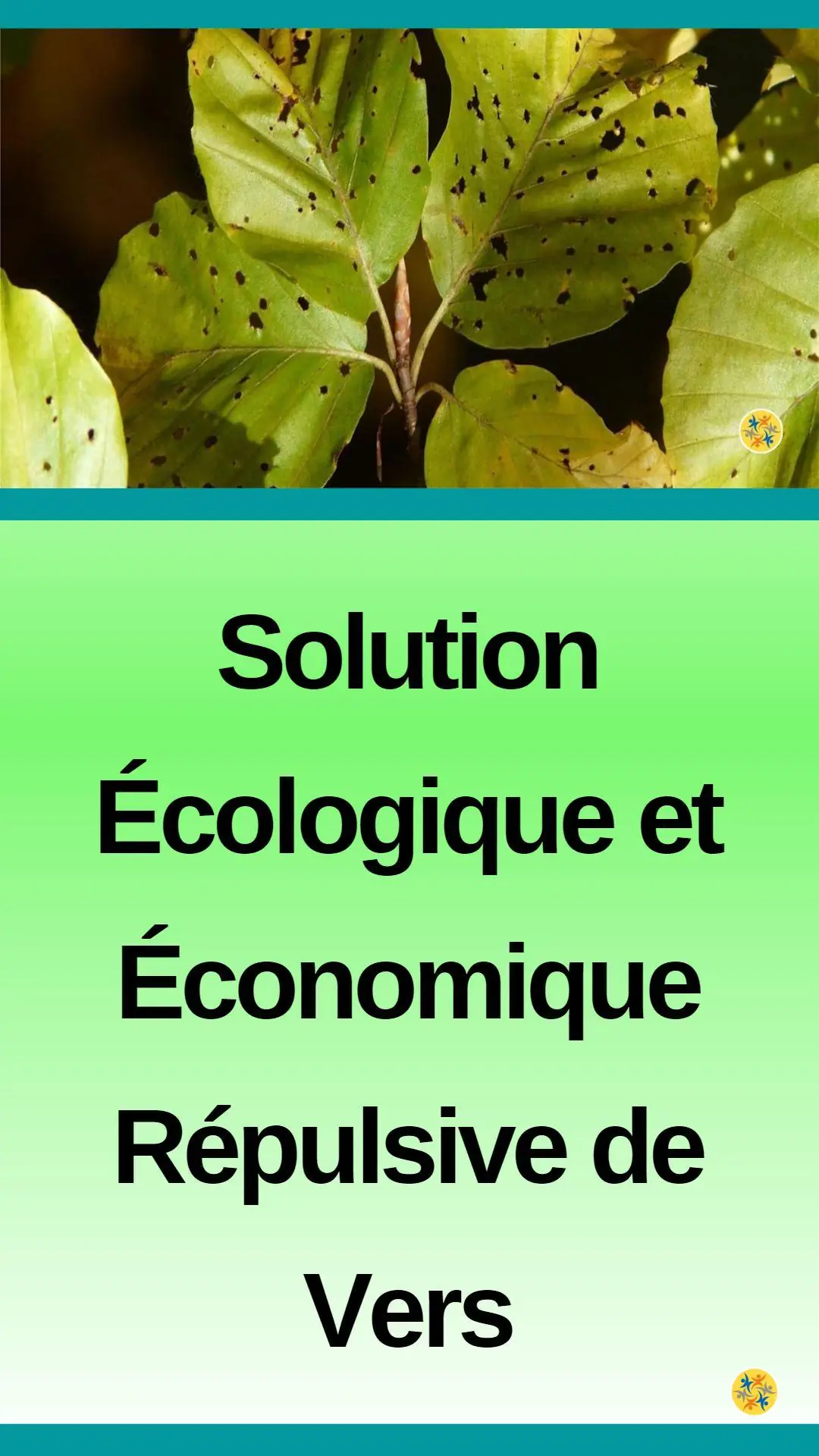 Solution écologique et économique répulsive de vers 