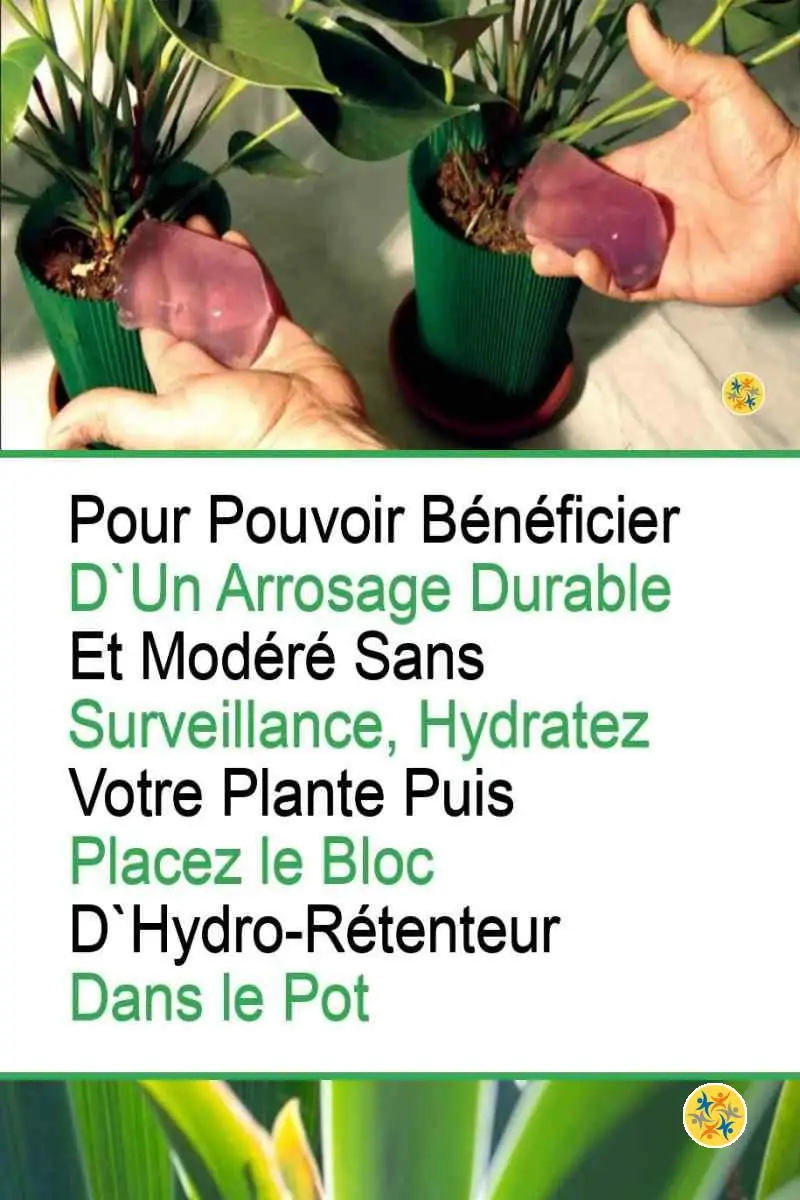 Comment Préparer un Gel d'Arrosage à la Maison à partir de 2 Eléments ? 4 Mode d'arrosage au gel hydratant fait maison