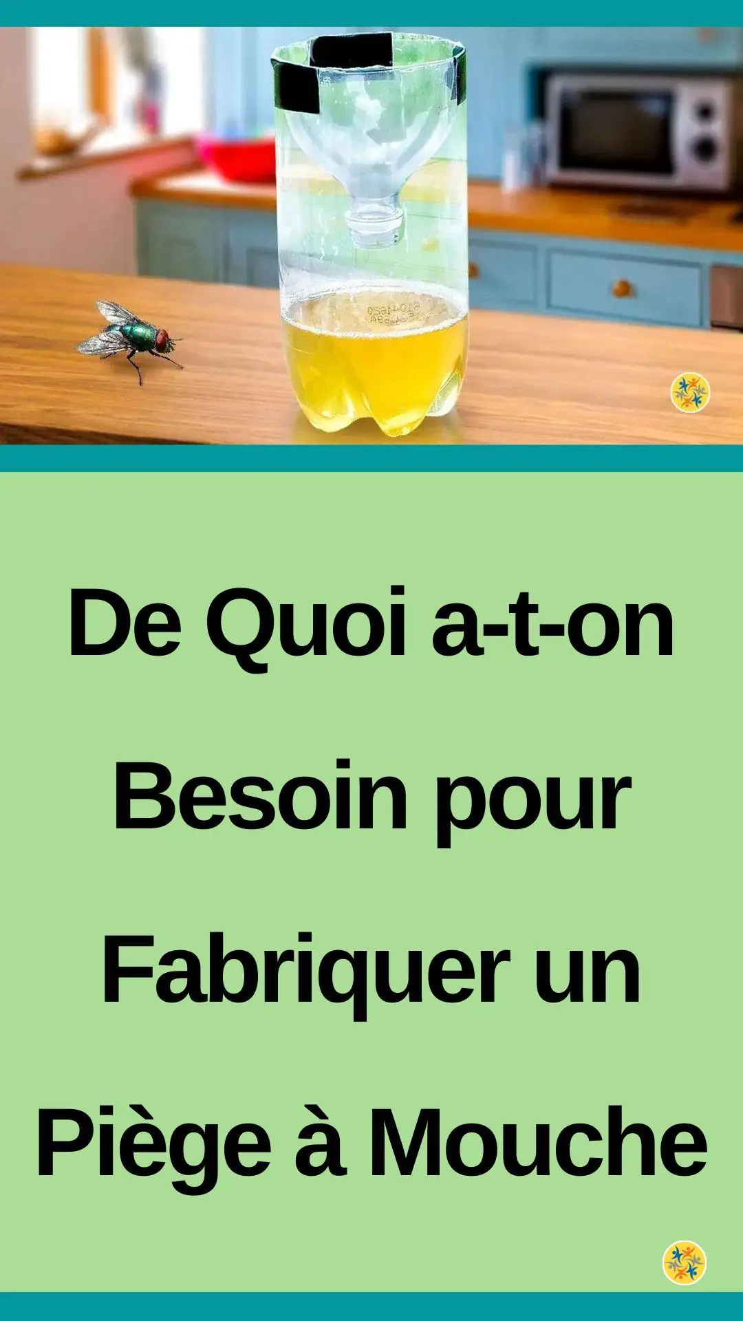 L'appât dangereux pour les insectes mais écolo 