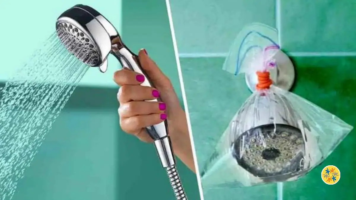 L’Astuce Pour Augmenter la Pression de l’Eau Dans les
