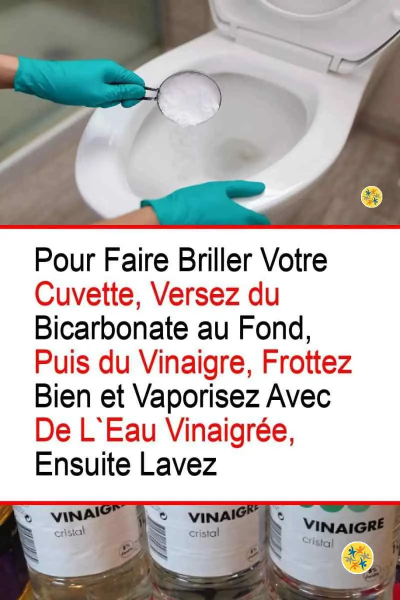 2 Produits pour Nettoyer Vos Toilettes en un Temps Record 8 Instructions pour un entretien naturel des toilettes