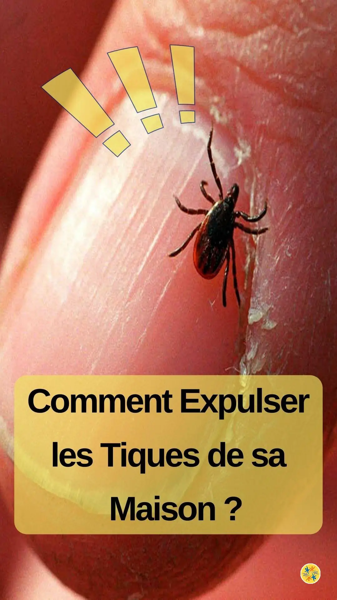 Mesures à prendre pour lutter contre les parasites 