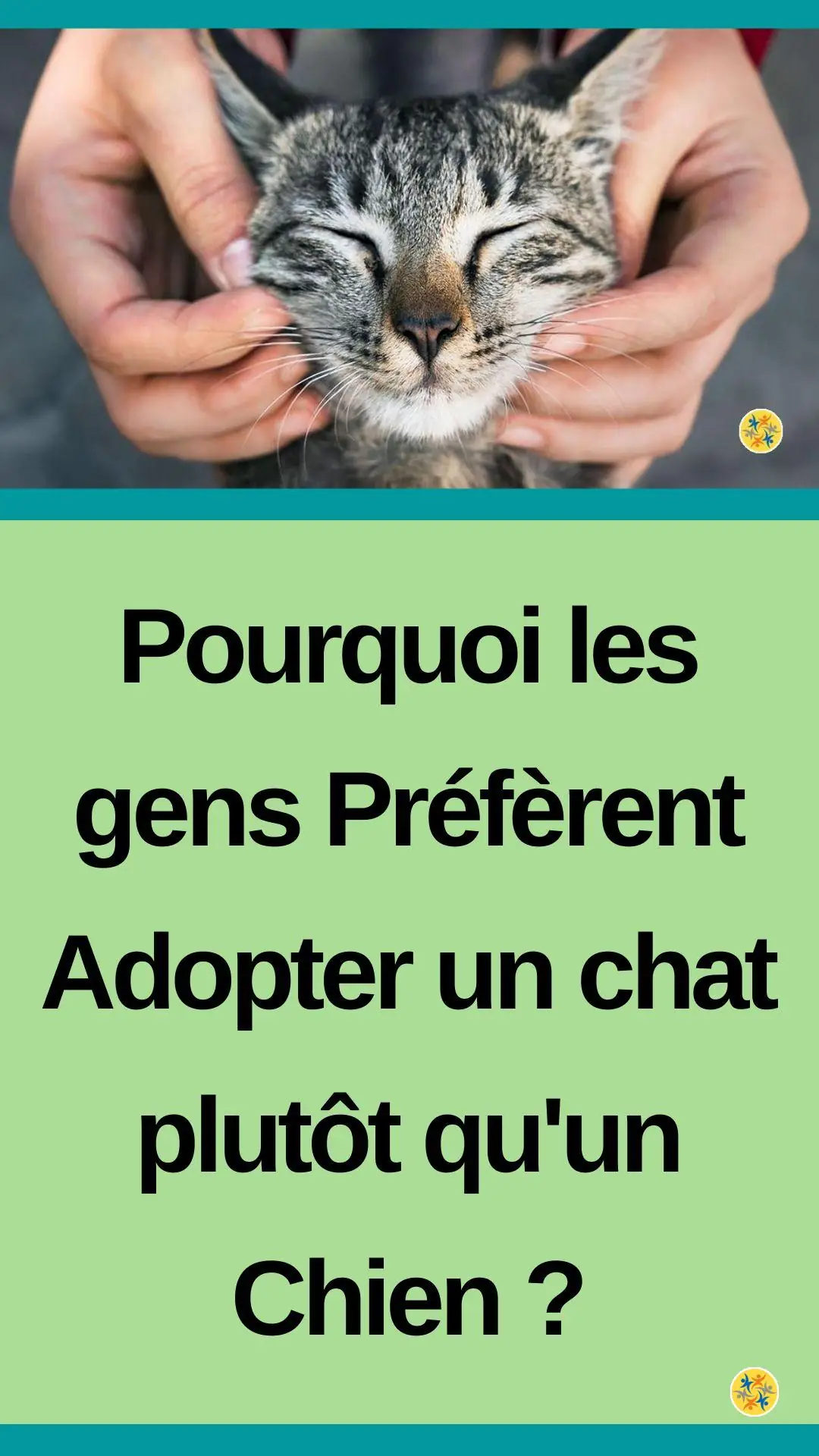 Les qualités d'un félin et l'intérêt de sa présence dans votre vie 