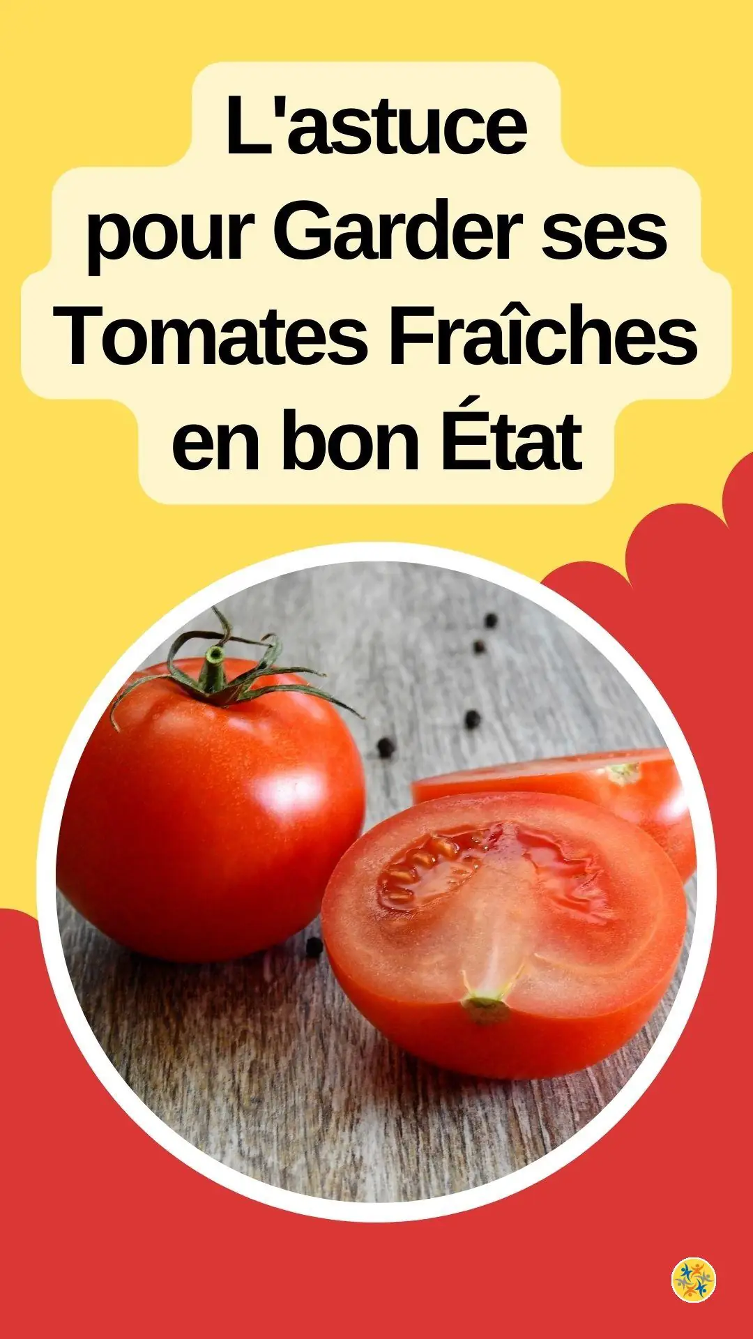 Comment conserver ses tomates bios dans les meilleures conditions 