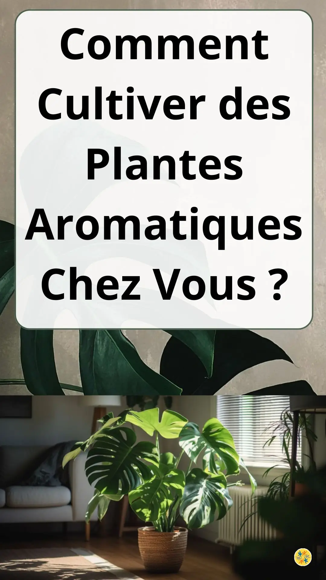 Conseils pour la Culture Réussie des Herbes Aromatiques en Intérieur