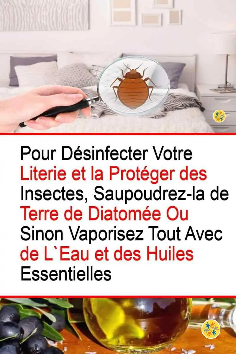 Chassez les Punaises en Exploitant 2 Substances Naturelles 4 Solutions naturelles pour repousser les punaises