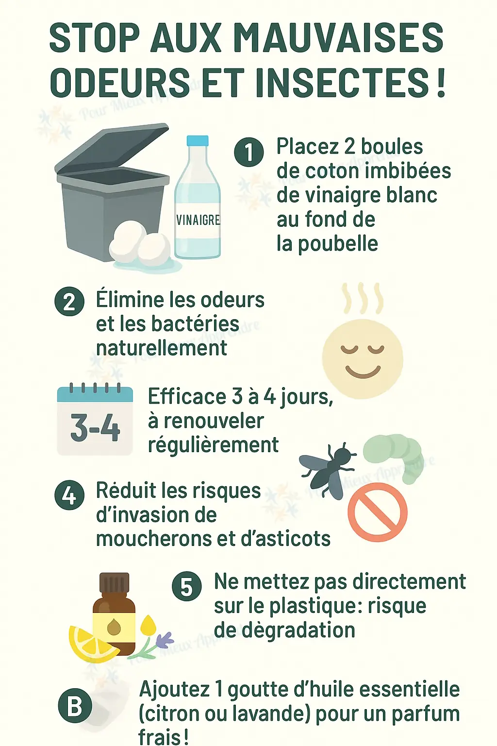 Comment éloigner les insectes de votre poubelle naturellement ?