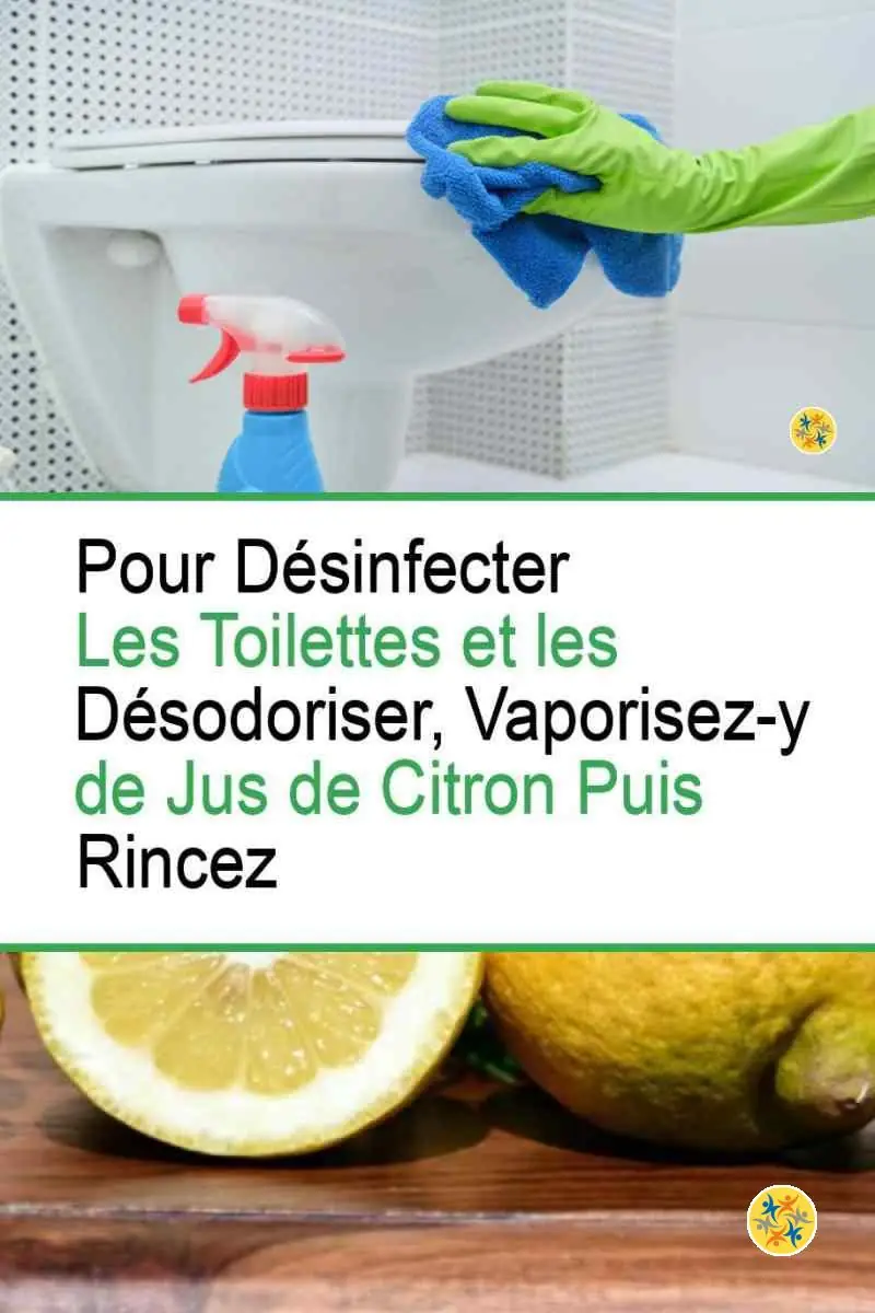6 Utilisations de Citron en Nettoyage Profond à la Maison 17 Désinfecter les toilettes avec le jus de citron